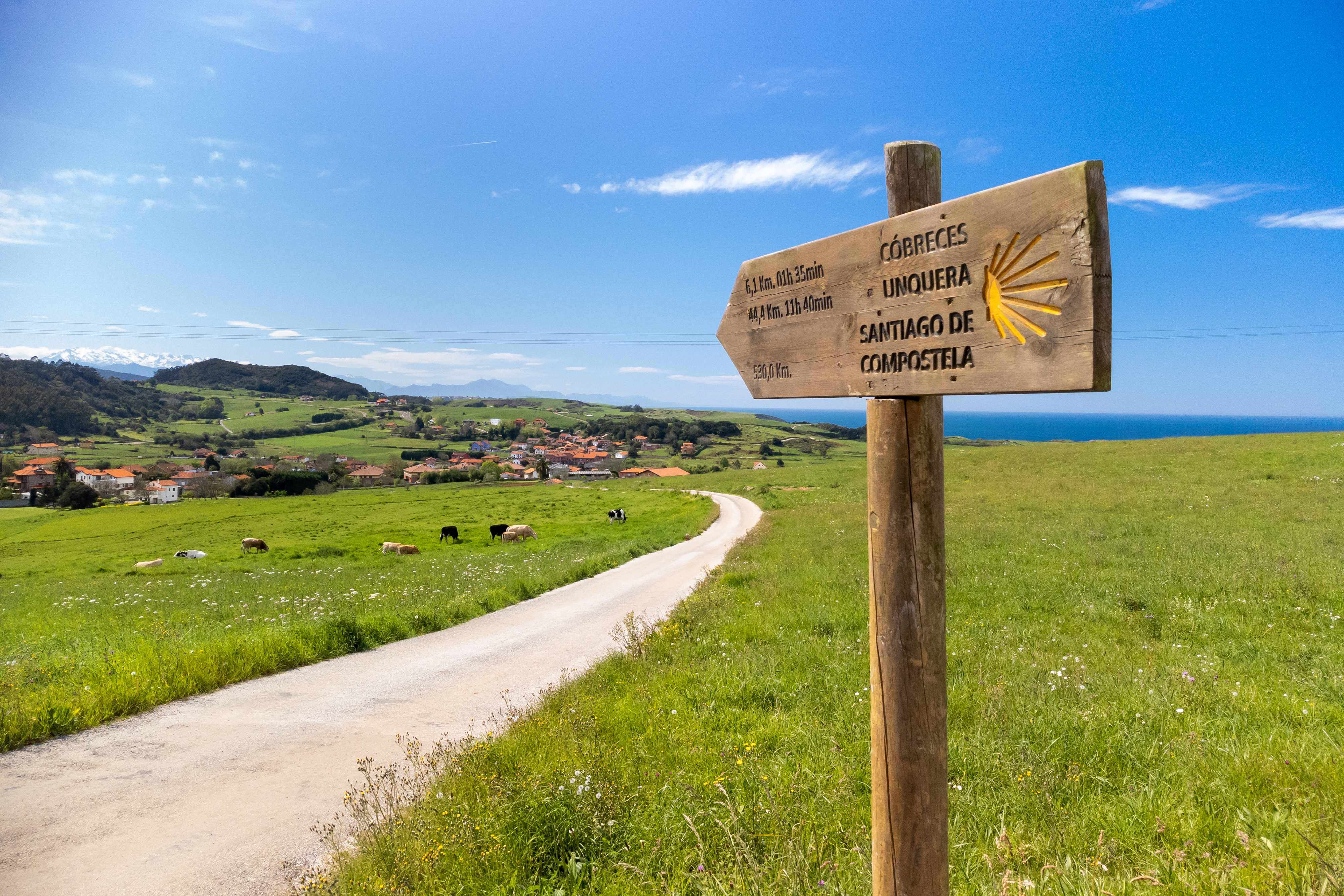 Camino Francés path in the Province of Cantabria